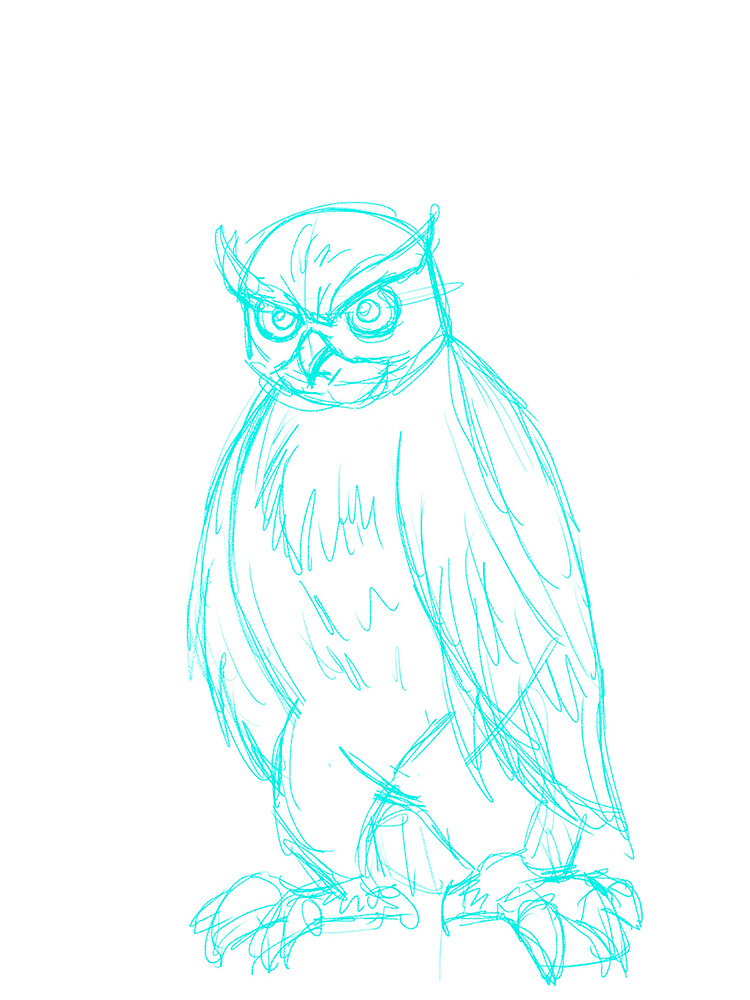 owl